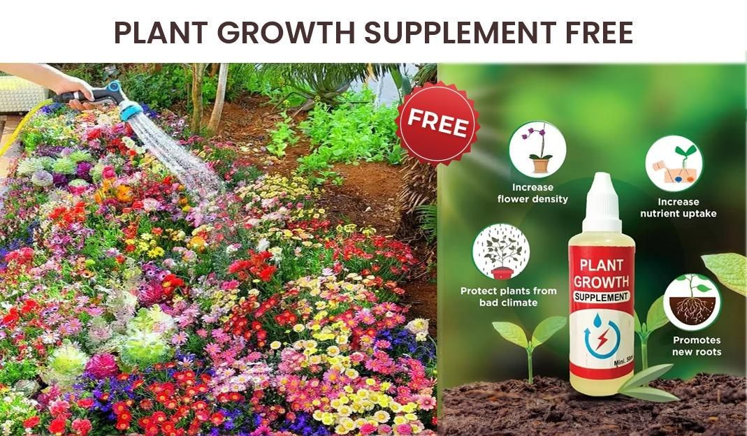 Different types Flower Seeds And Plant Growth Supplement Free