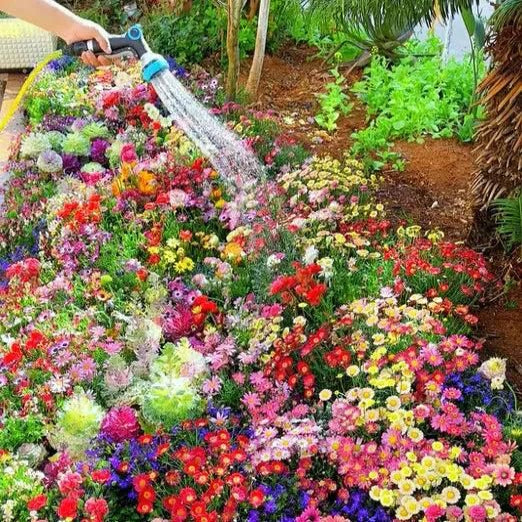 Different types Flower Seeds And Plant Growth Supplement Free
