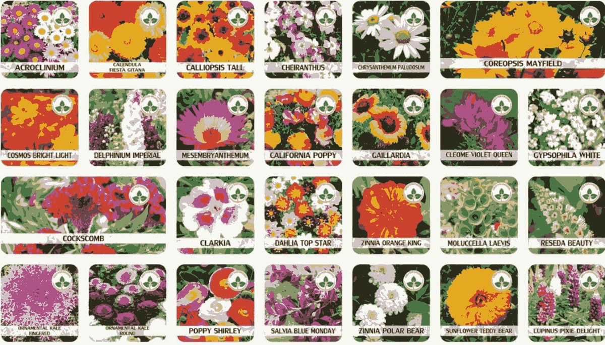Different types Flower Seeds And Plant Growth Supplement Free